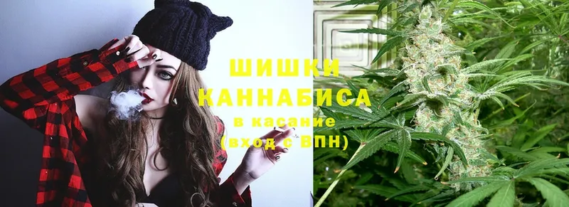 Канабис OG Kush  Галич 